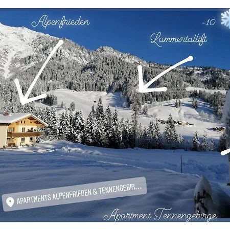 Apartment Tennengebirge Sankt Martin am Tennengebirge Ngoại thất bức ảnh