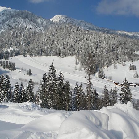 Apartment Tennengebirge Sankt Martin am Tennengebirge Ngoại thất bức ảnh
