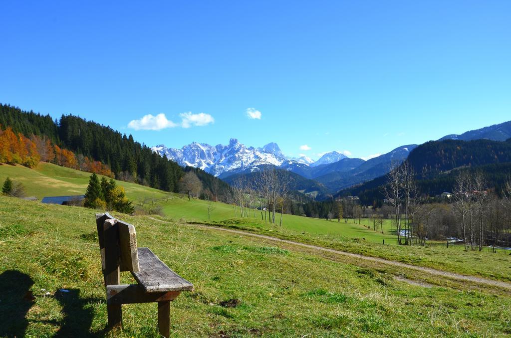 Apartment Tennengebirge Sankt Martin am Tennengebirge Ngoại thất bức ảnh