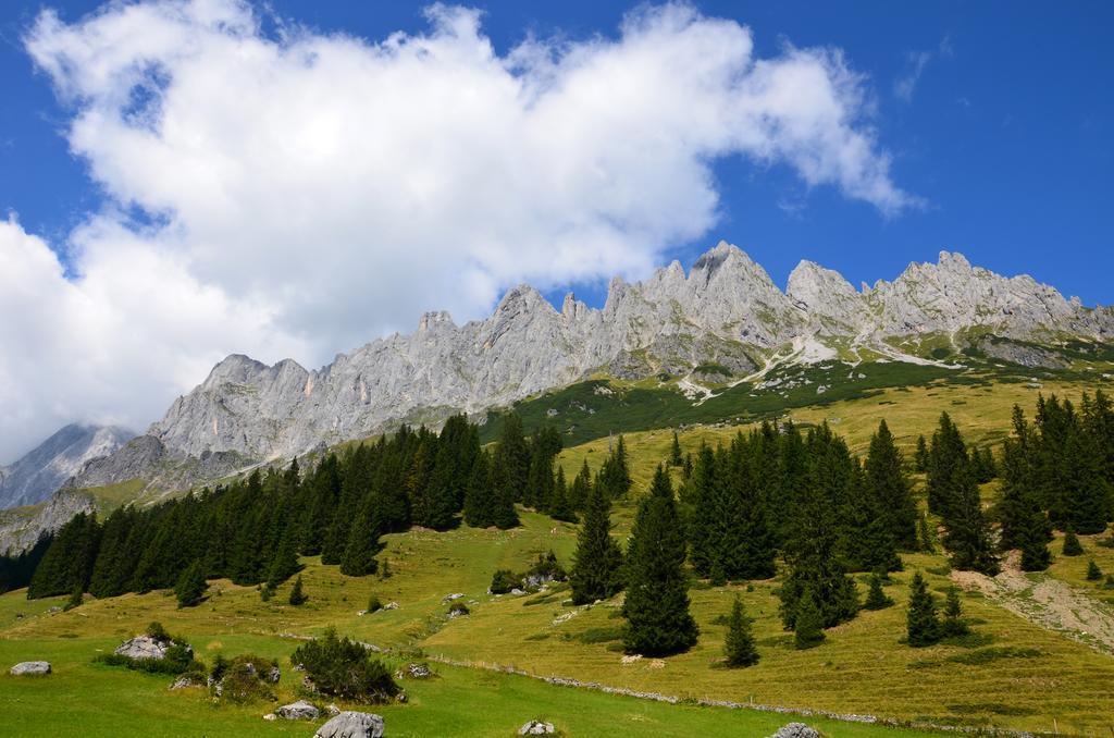 Apartment Tennengebirge Sankt Martin am Tennengebirge Ngoại thất bức ảnh