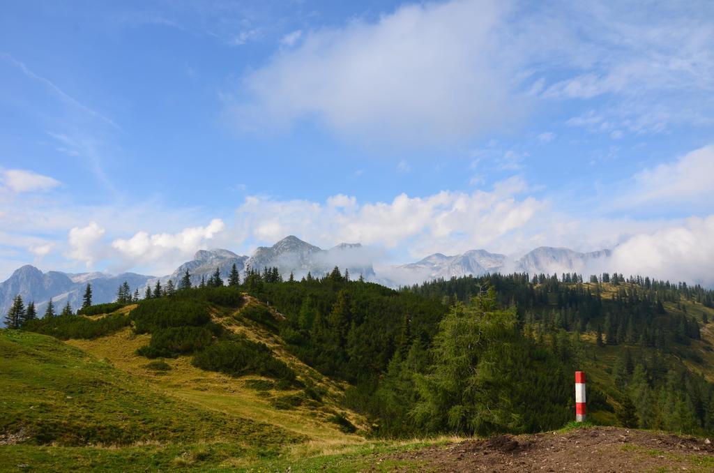 Apartment Tennengebirge Sankt Martin am Tennengebirge Ngoại thất bức ảnh