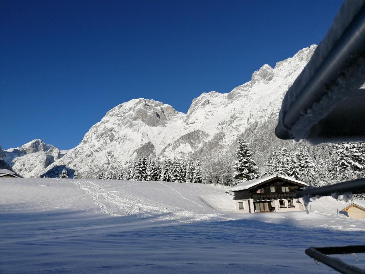 Apartment Tennengebirge Sankt Martin am Tennengebirge Ngoại thất bức ảnh