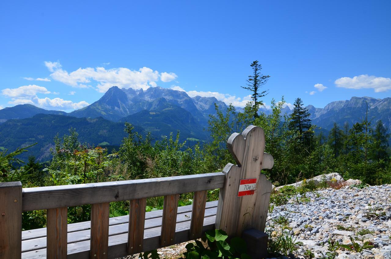 Apartment Tennengebirge Sankt Martin am Tennengebirge Ngoại thất bức ảnh