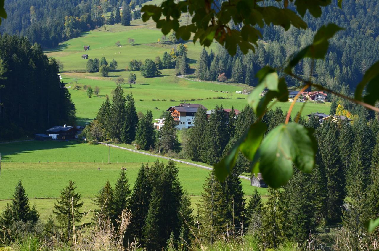 Apartment Tennengebirge Sankt Martin am Tennengebirge Ngoại thất bức ảnh