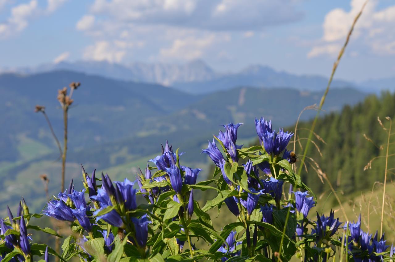 Apartment Tennengebirge Sankt Martin am Tennengebirge Ngoại thất bức ảnh
